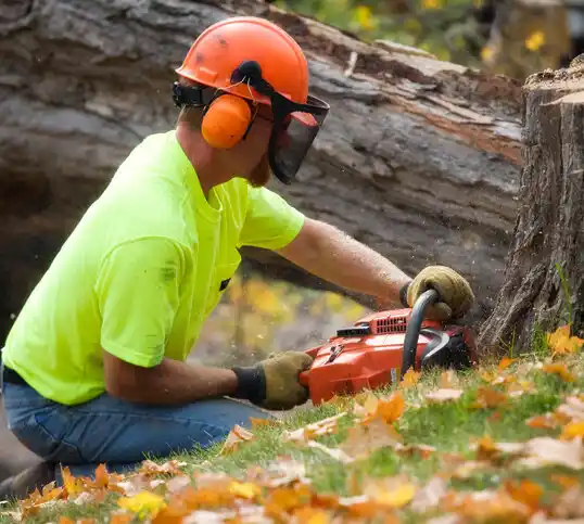 tree services Lowell